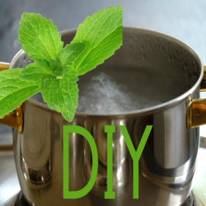 DIY Stevia Liquid Pouch